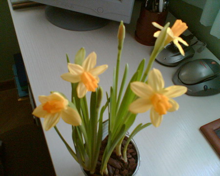 20060312190850-imagen038-1.jpg